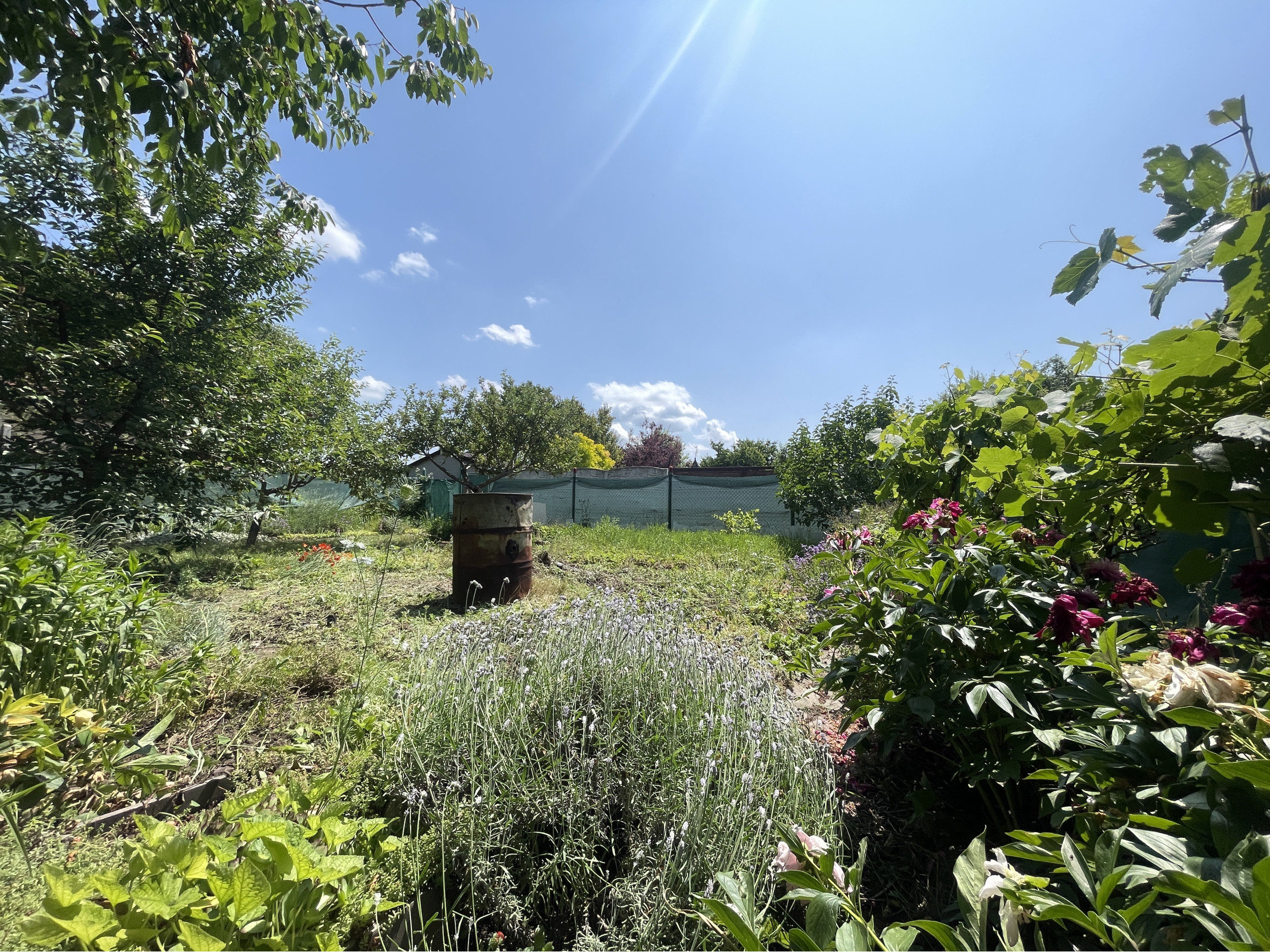 Exkluzívne na predaj záhrada za Lesoparkom Berek