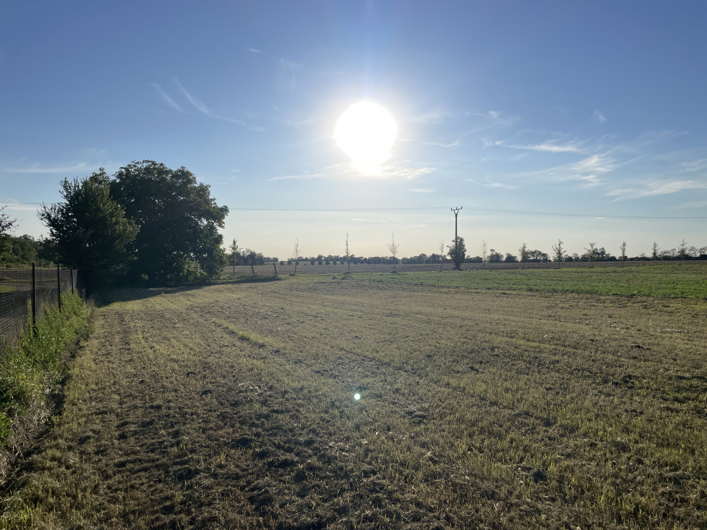 Na predaj pozemok v obci Branovo