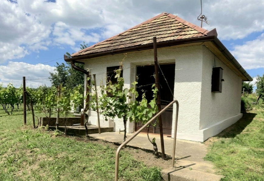 Na predaj pekný viničný domček s vinicou