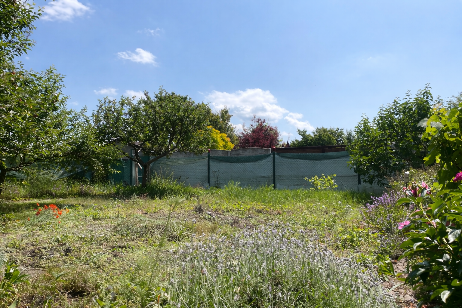 Exkluzívne na predaj záhrada za Lesoparkom Berek