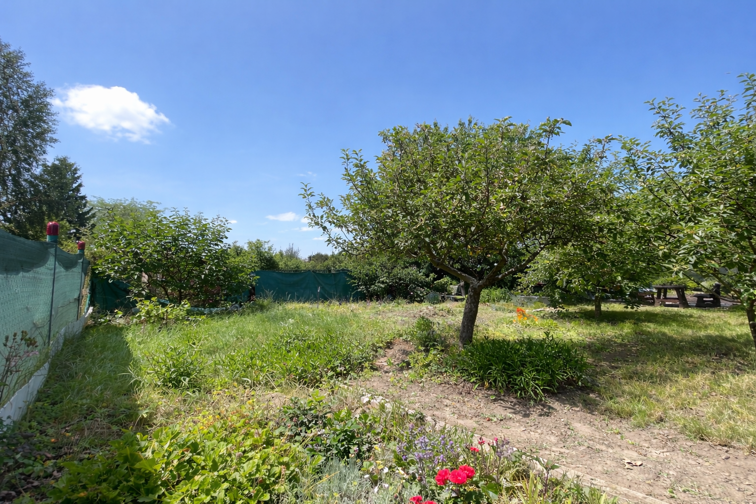 Exkluzívne na predaj záhrada za Lesoparkom Berek