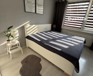 Exkluzívne na predaj 2,5-izbový byt v meste Nové Zámky