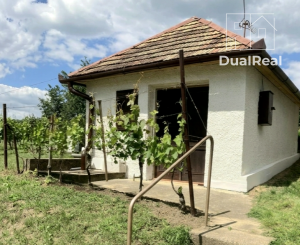 Na predaj pekný viničný domček s vinicou