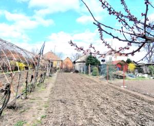 REZERVOVANÉ - Na predaj rodinný dom v obci Pribeta