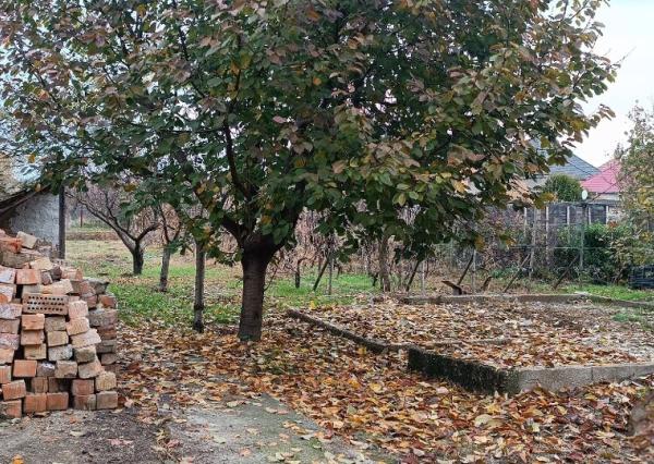 Na predaj rodinný dom - Šurany (holodom - 112m2)