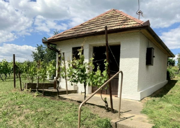 Na predaj pekný viničný domček s vinicou