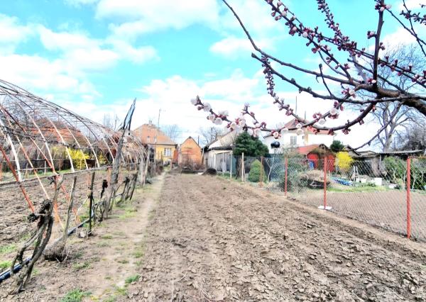 REZERVOVANÉ - Na predaj rodinný dom v obci Pribeta