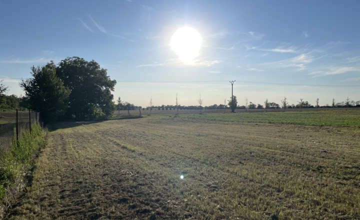 Na predaj pozemok v obci Branovo - fotografia 1